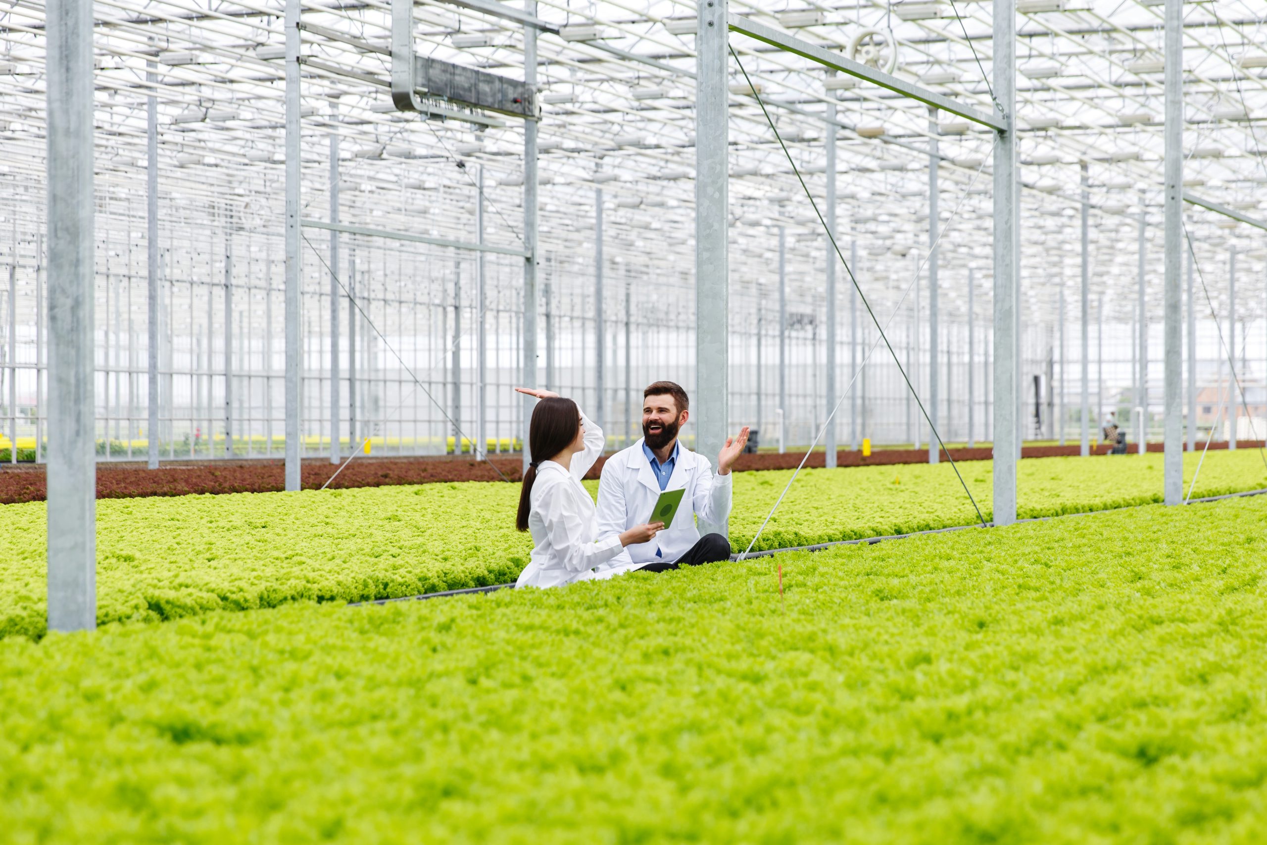 two researches man and woman examine greenery with a tablet in a